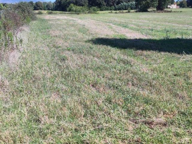 Terreno in vendita a Casciana Terme Lari, Casini Di Bosco