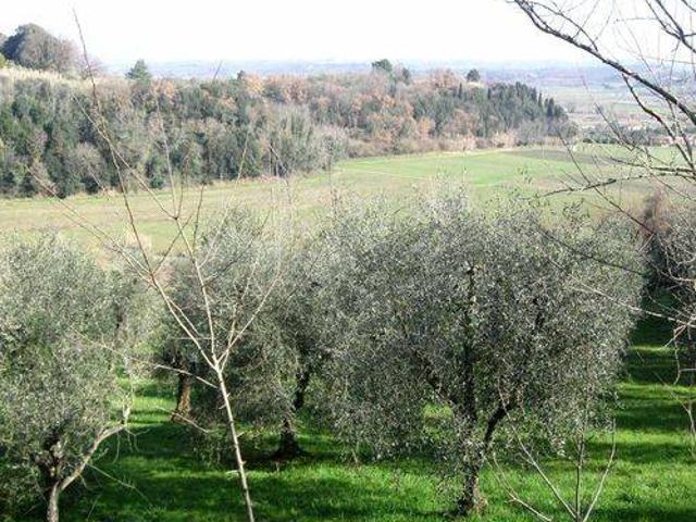 Terreno in vendita a Casciana Terme Lari, Cevoli