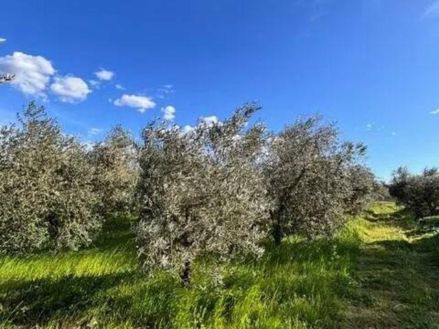 Terreno in vendita a Casciana Terme Lari, Perignano
