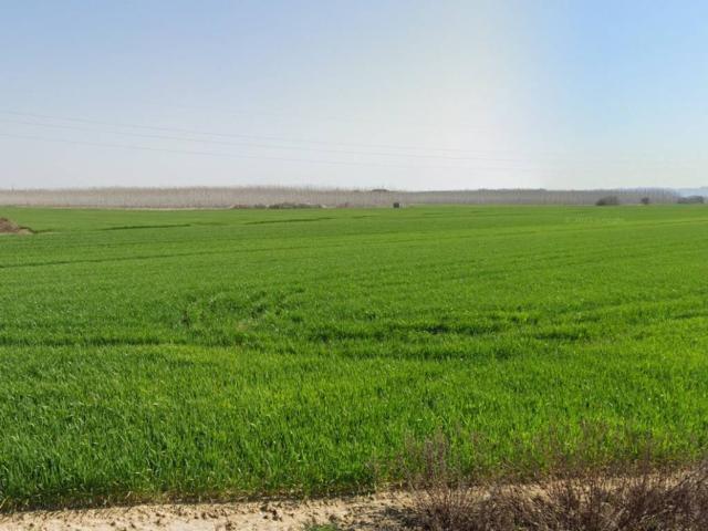 Terreno in vendita a La Turchia, Casciana Terme Lari