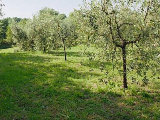 Terreno in vendita a Casciana Terme Lari, Perignano