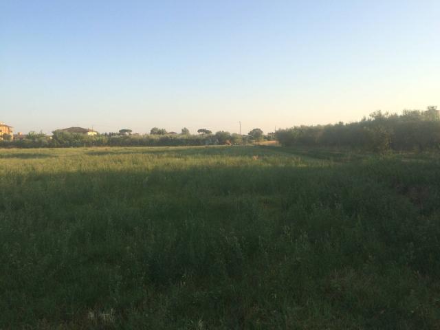 Terreno in vendita a Marciana, Cascina