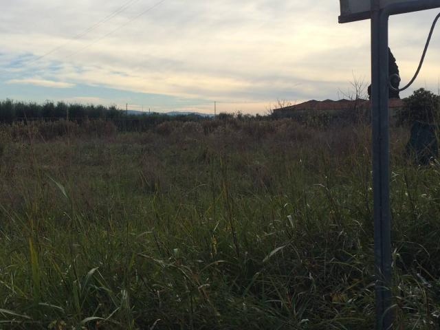 Terreno in vendita a San Prospero, Cascina