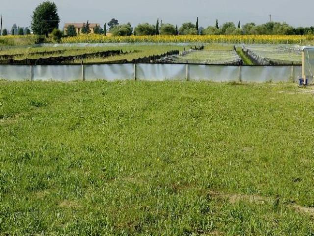 Terreno in vendita a San Giorgio a Bibbiano, Cascina