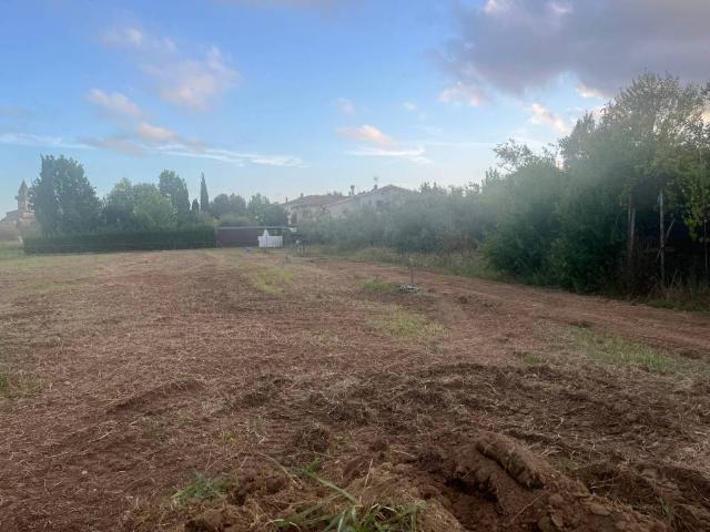Terreno in vendita a Casciavola, Cascina