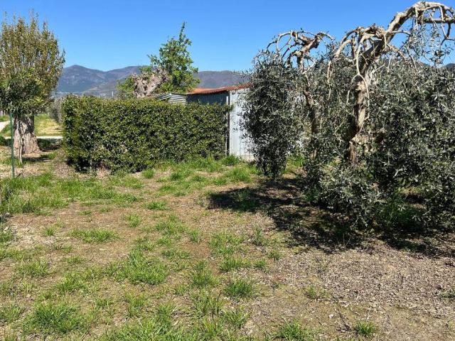 Terreno in vendita a Navacchio, Cascina
