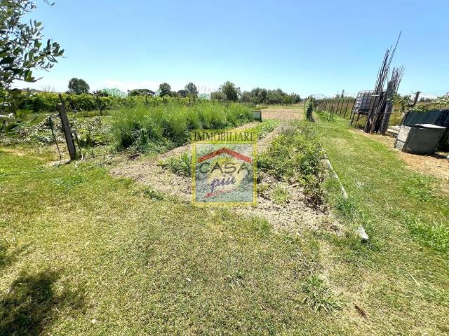Terreno in vendita a Navacchio, Cascina