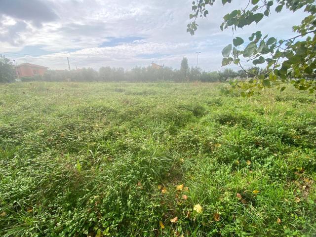 Terreno in vendita a San Prospero, Cascina