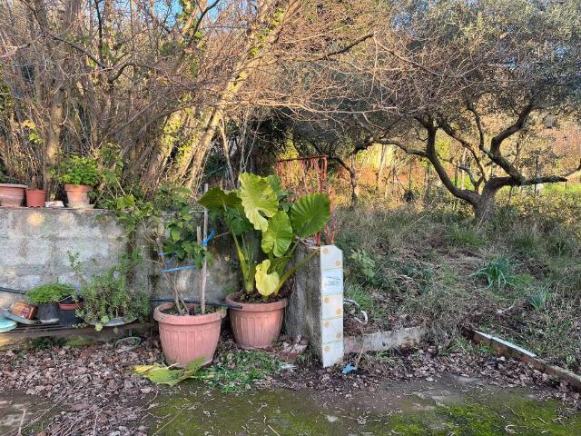 Terreno in vendita a Caserta, Campania