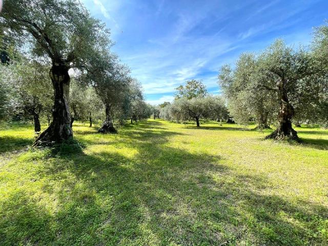 Terreno in vendita a Caserta
