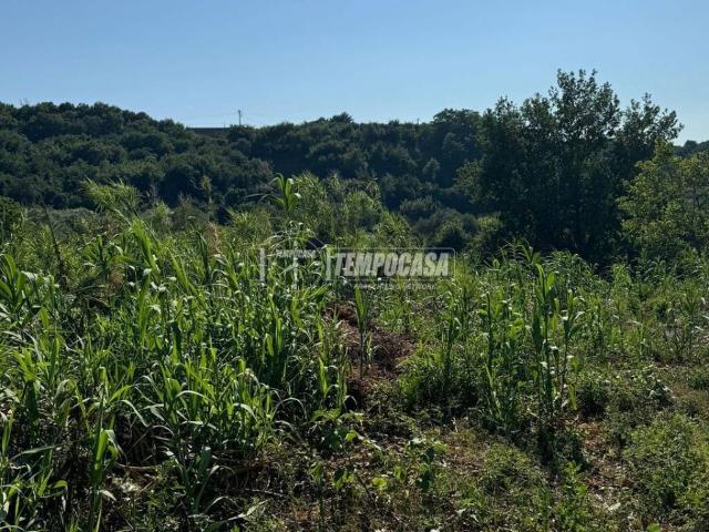 Terreno in vendita a Caserta, Campania