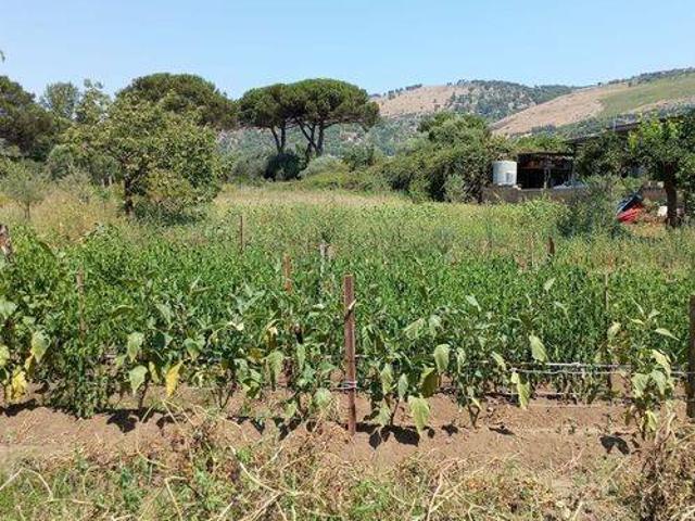 Terreno in vendita a Petrarelle, Caserta