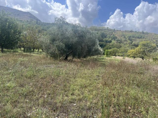 Terreno in vendita a Caserta, Campania