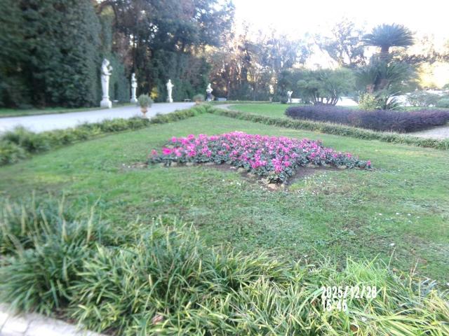 Terreno in vendita a Alvignano, Campania