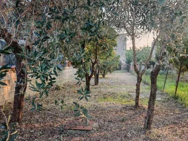 Terreno in vendita a Caserta, Campania