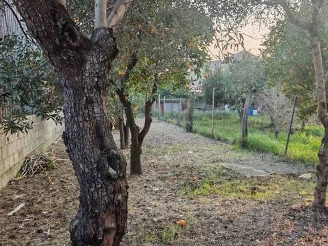 Terreno in vendita a Caserta, Campania