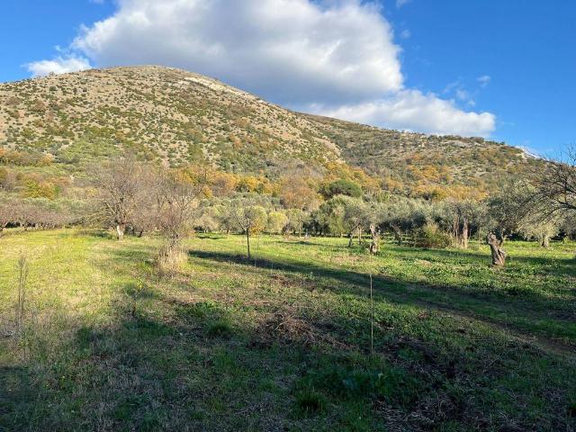 Terreno in vendita a Caserta, Campania