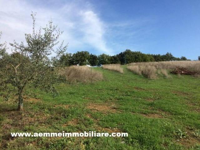 Terreno in vendita a Cavallano, Casole d'Elsa