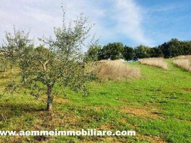 Terreno in vendita a Casole D'elsa, Toscana