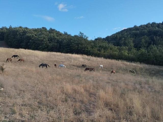 Terreno in vendita a Orli, Casole D'elsa