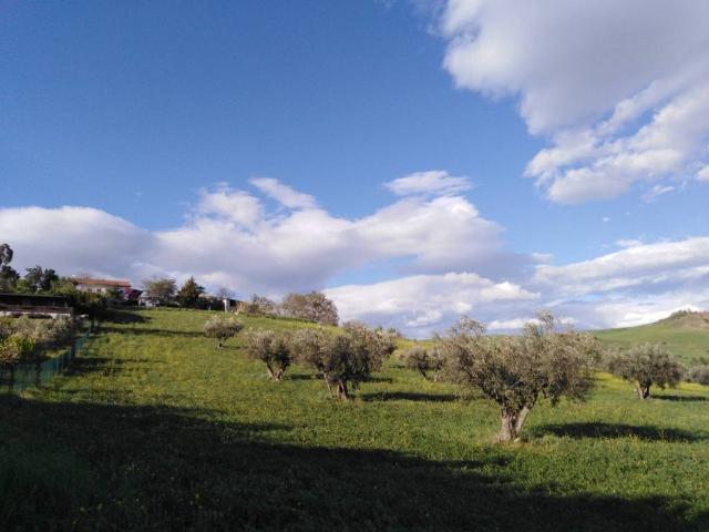 Terreno in vendita a Casoli, Abruzzo