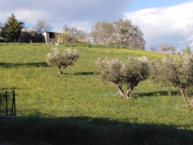 Terreno in vendita a Casoli, Abruzzo
