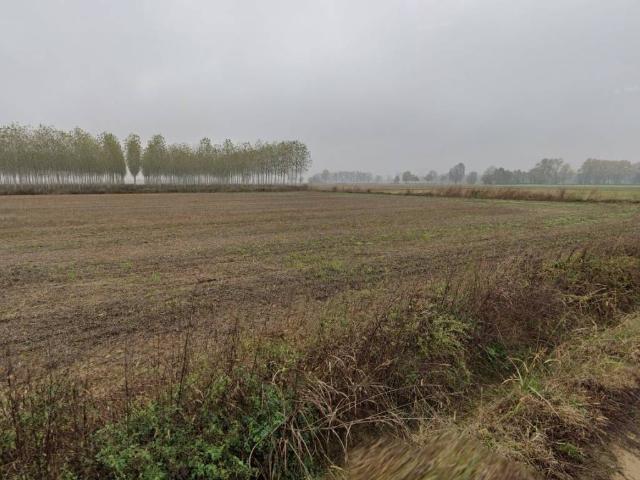 Terreno in vendita a Casorate Primo, Lombardia