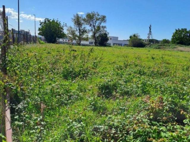 Terreno in vendita a Cittadella di Casoria, Casoria