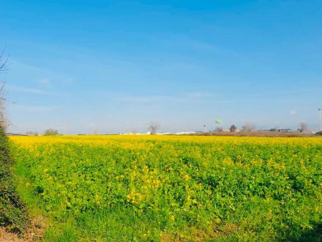 Terreno in vendita a Cittadella di Casoria, Casoria