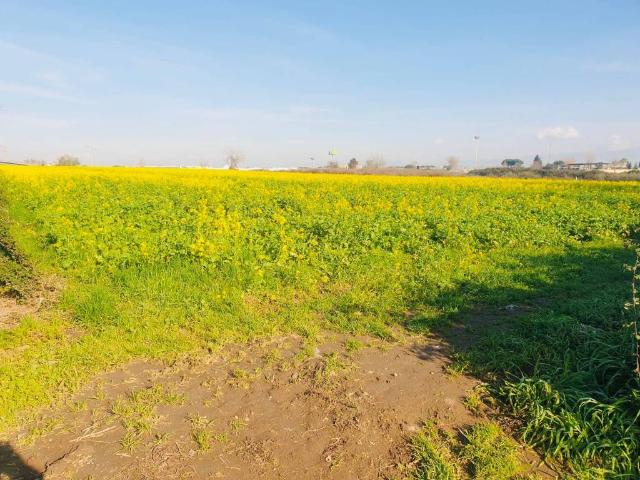 Terreno in vendita a Cittadella di Casoria, Casoria