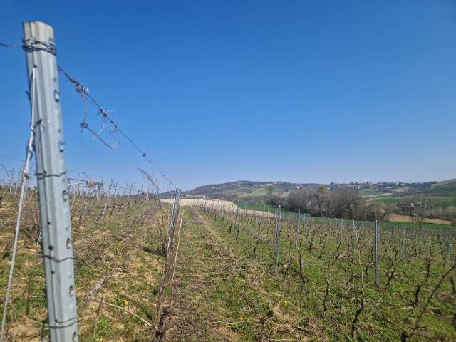 Terreno in vendita a Piemonte, Asti