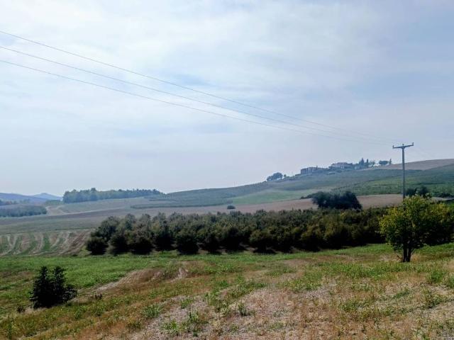 Terreno in vendita a Casorzo Monferrato, Asti