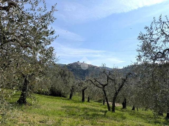 Terreno in vendita a Casperia, Lazio