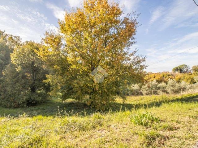 Terreno in vendita a Casperia, Lazio