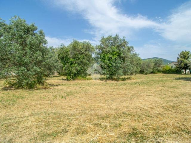 Terreno in vendita a Casperia, Lazio