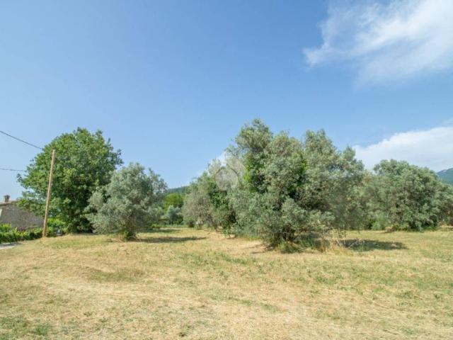 Terreno in vendita a Casperia, Lazio