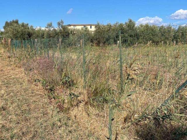 Terreno in vendita a Cassano all'Ionio, Calabria