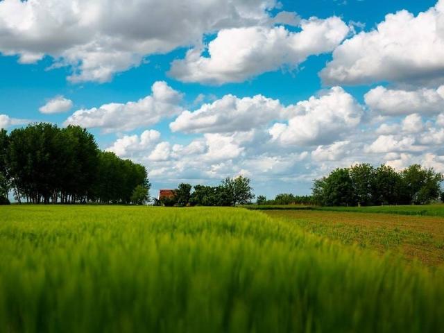 Terreno in vendita a Cassano D'adda, Lombardia