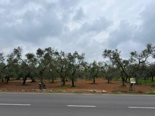 Terreno in vendita a Puglia, Bari