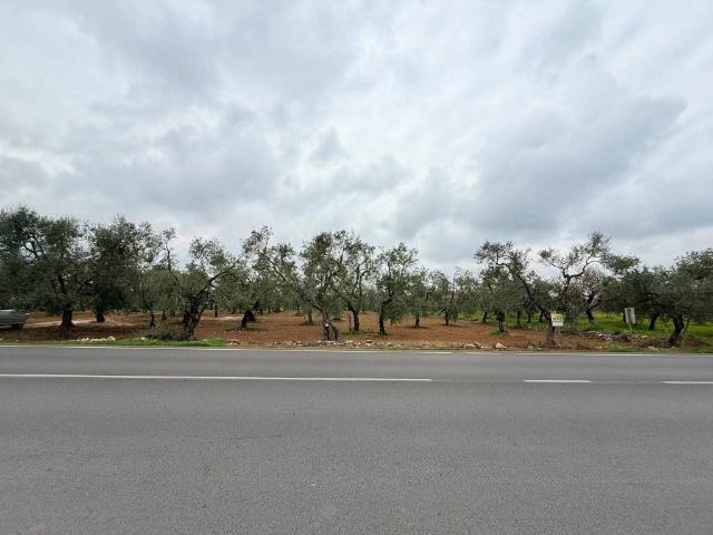 Terreno in vendita a Puglia, Bari