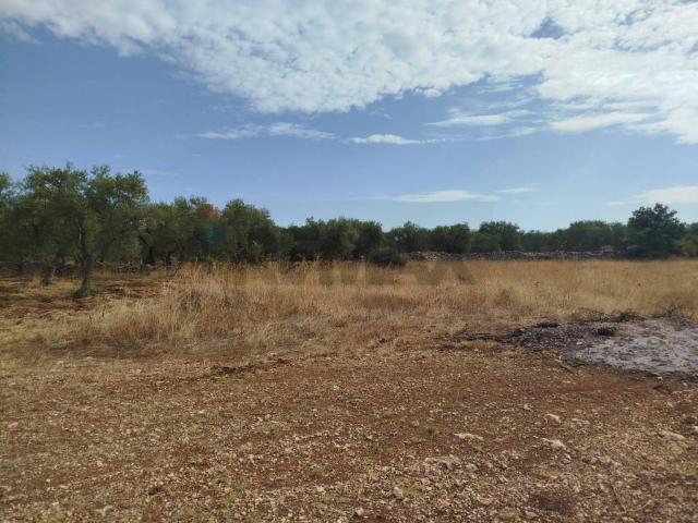 Terreno in vendita a Puglia, Bari