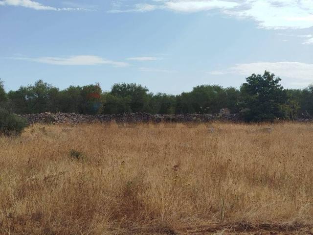 Terreno in vendita a Cassano delle Murge, Bari
