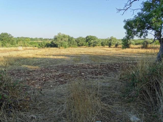 Terreno in vendita a Puglia, Bari