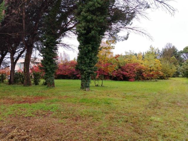 Terreno in vendita a Boschirolo, Cassano Magnago
