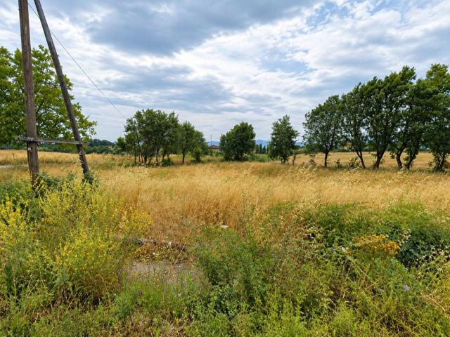 Terreno in vendita a Cassino, Frosinone