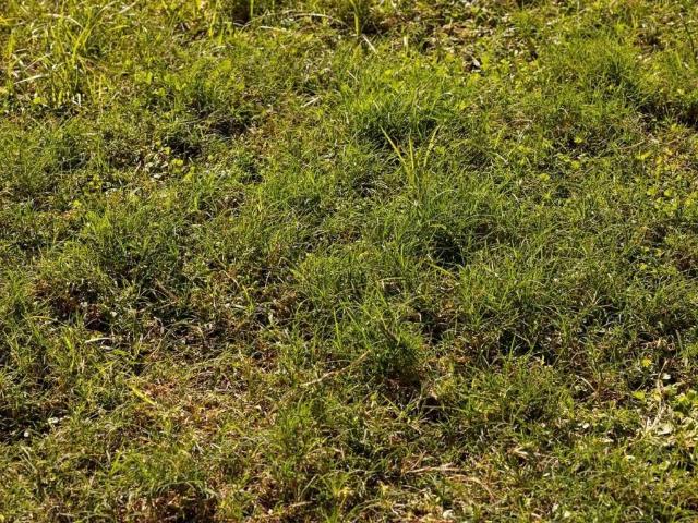 Terreno in vendita a Cassolnovo, Lombardia