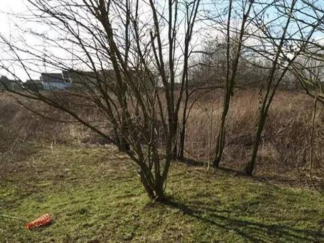 Terreno in vendita a Cassolnovo, Pavia