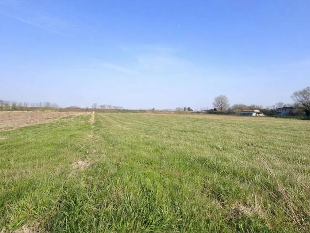 Terreno in vendita a Castagnaro, Veneto