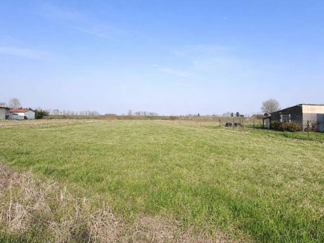 Terreno in vendita a Castagnaro, Veneto
