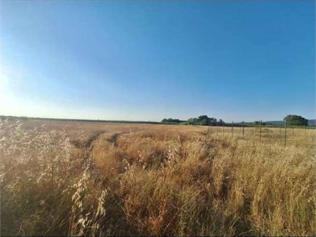 Terreno in vendita a Bolgheri, Toscana